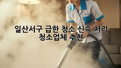 일산서구 급한 청소? 신속 처리 청소업체 추천!